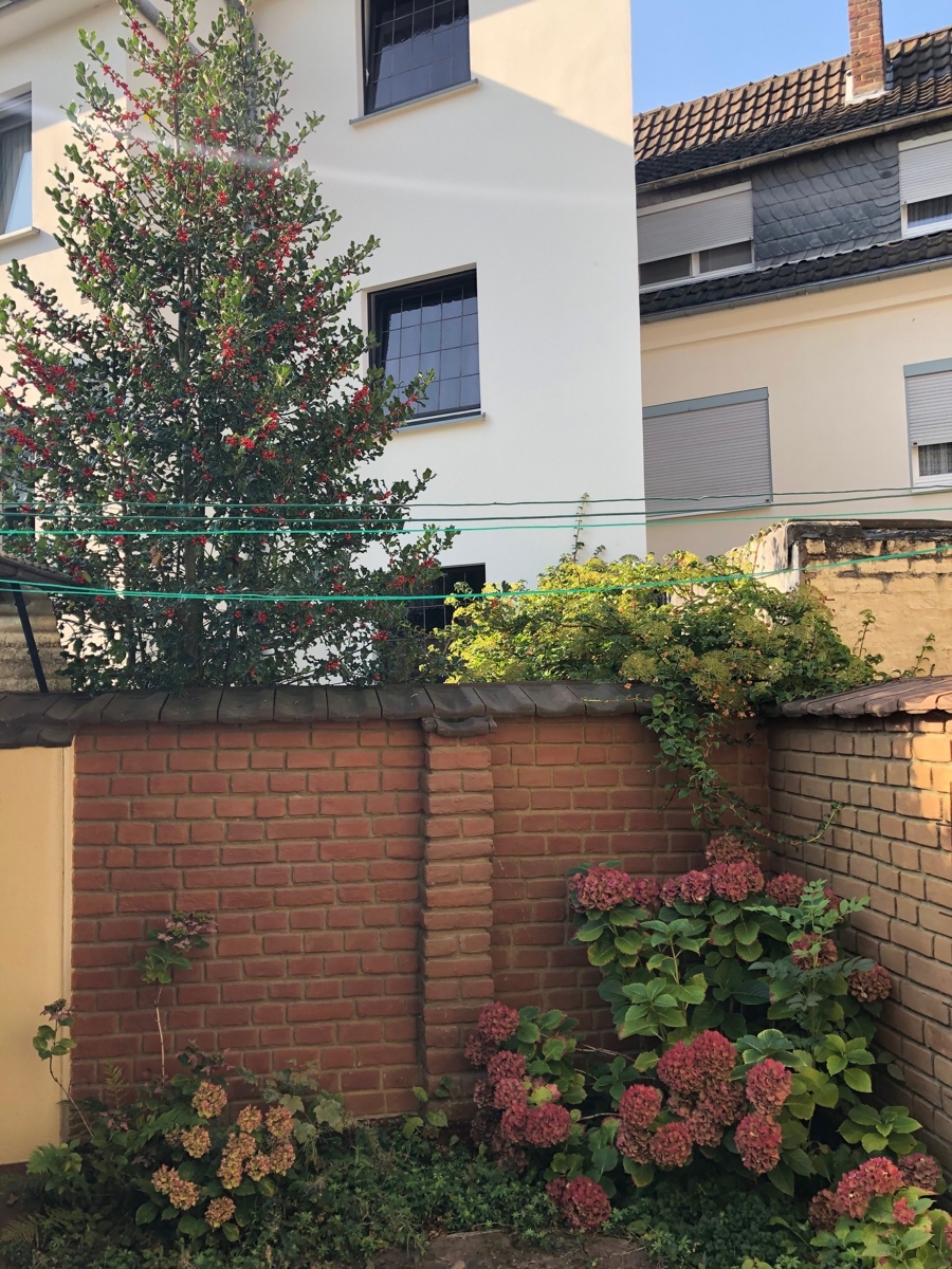 Innenhof / Garten Einfamilienhaus Bonn / Endenich