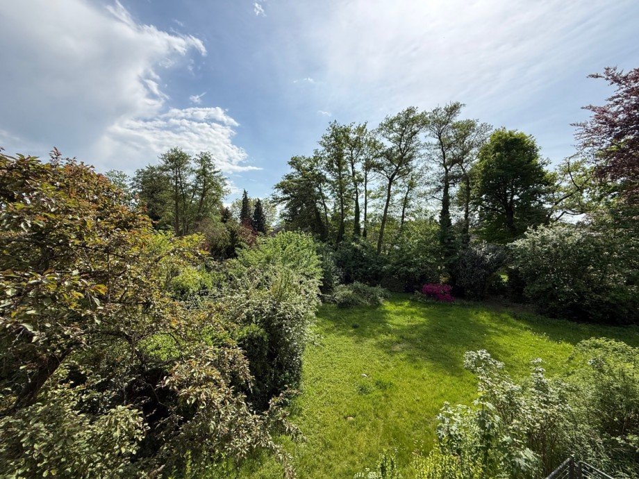 Blick in den Garten Zweifamilienhaus Sankt Augustin