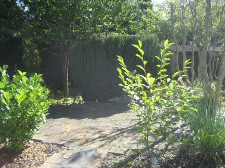 Ansicht Grillplatz 2 Einfamilienhaus Neunkirchen-Seelscheid / Breitscheid