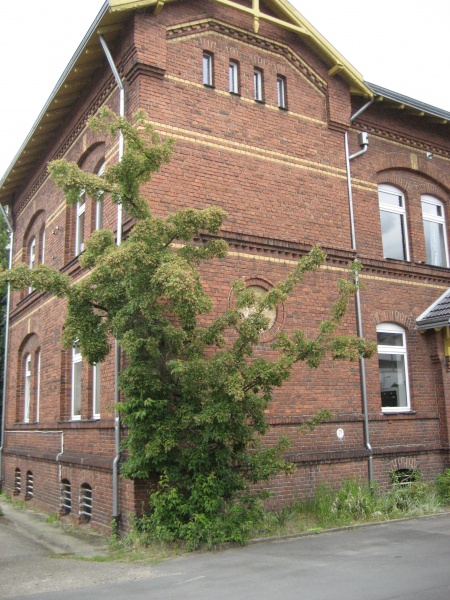 Seitenansicht 3 Etagenwohnung Siegburg
