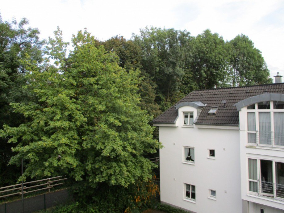 Blick vom Balkon Dachgeschosswohnung Siegburg