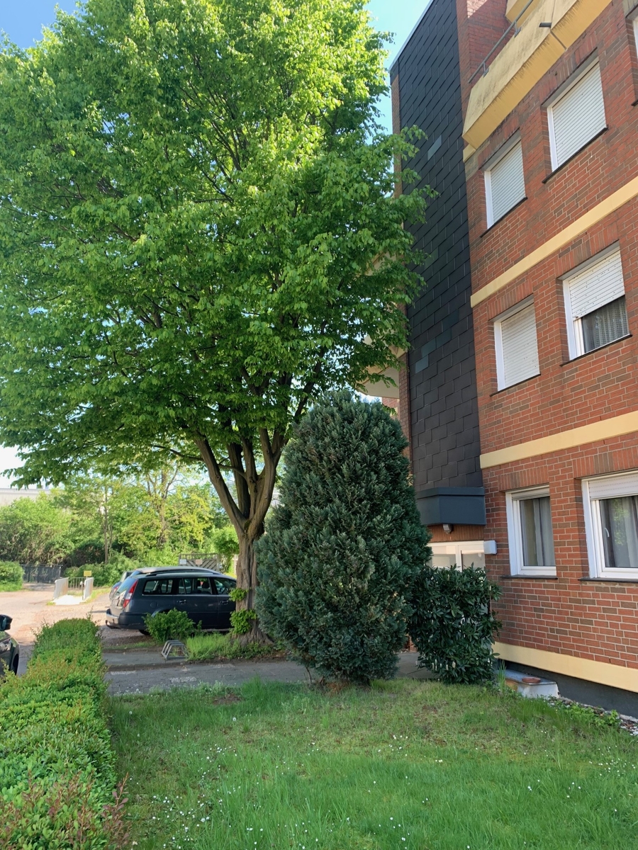 Seitenansicht Erdgeschosswohnung Bonn