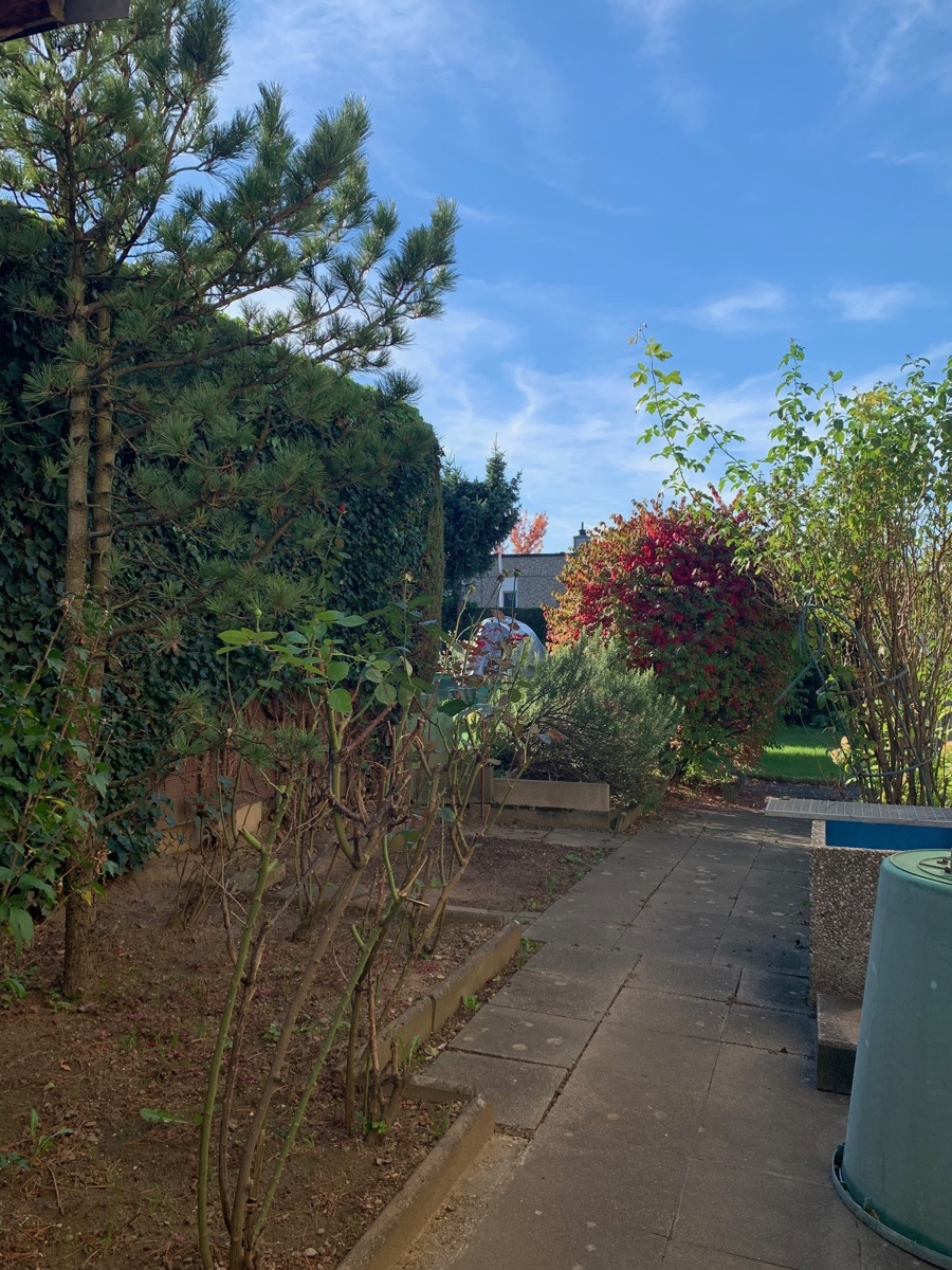 seitliche Ansicht Reihenendhaus Sankt Augustin