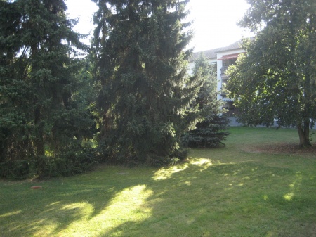 Gartenansicht Etagenwohnung Sankt Augustin