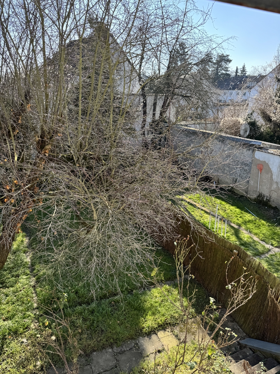 Blick vom Balkon Etagenwohnung Bonn / Lannesdorf