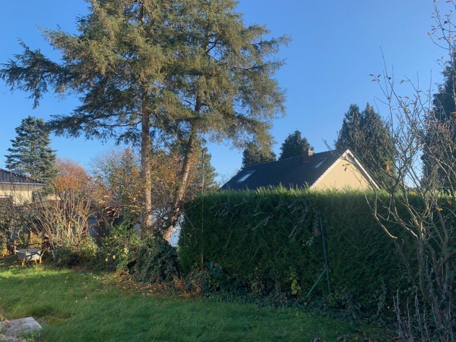 Garten Bungalow Sankt Augustin