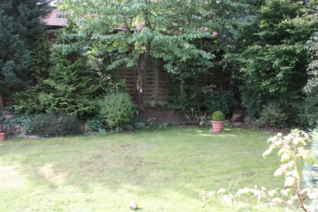 Blick in den Garten vom Balkon Einfamilienhaus Sankt Augustin