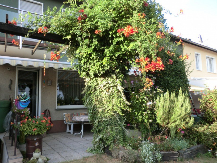 Terrasse Reihenhaus Sankt Augustin