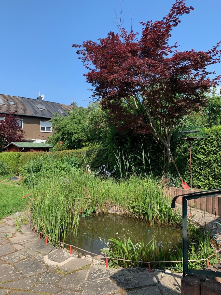 Garten Reiheneckhaus Sankt Augustin