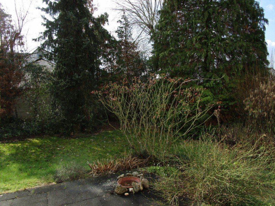 Ansicht Garten Einfamilienhaus Sankt Augustin