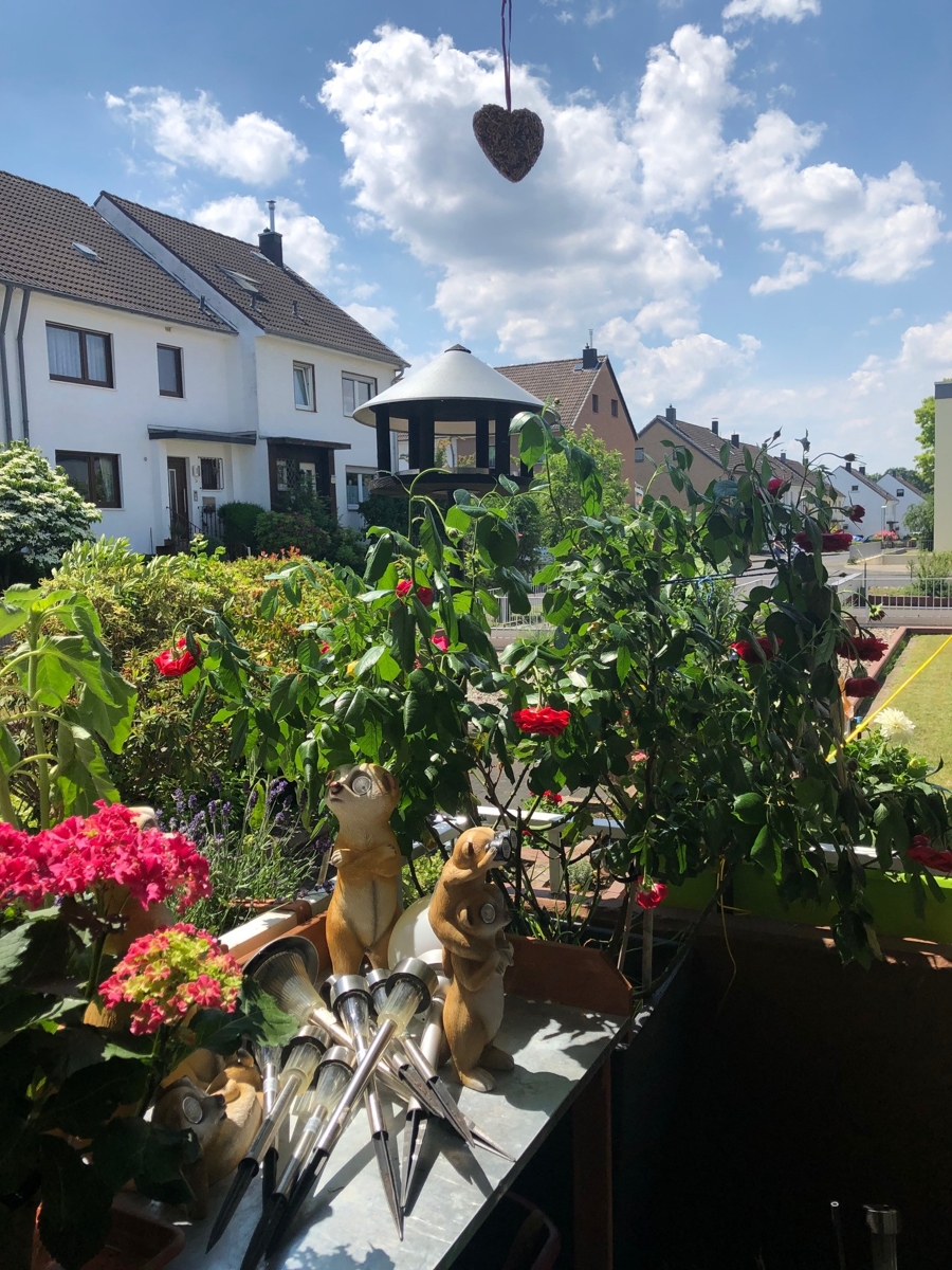 Blick Erdgeschosswohnung Sankt Augustin