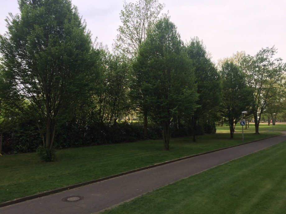 Blick ins Gr�ne Erdgeschosswohnung Sankt Augustin / Niederpleis