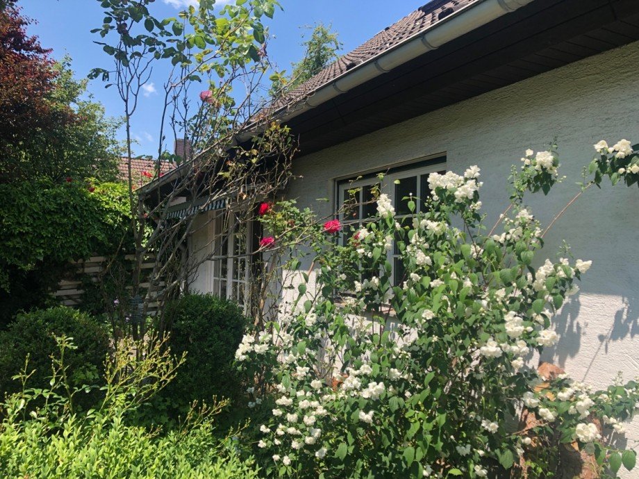 R�ckansicht Einfamilienhaus Sankt Augustin
