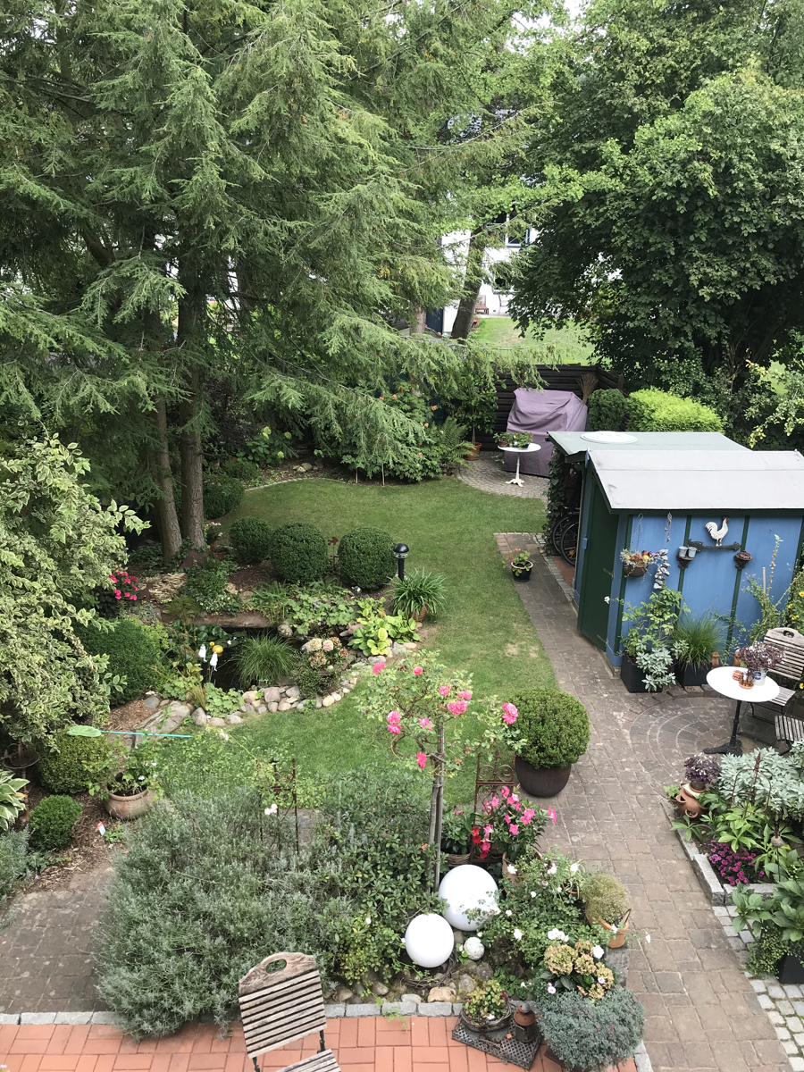 Ansicht Garten Sommer Reiheneckhaus Bonn