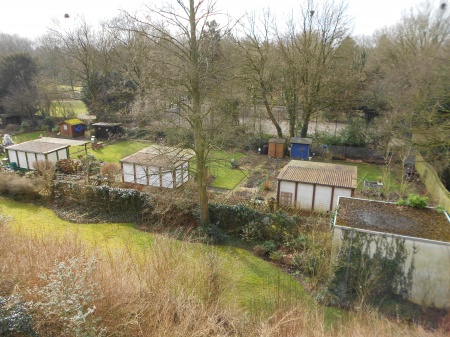 Blick ins Gr�ne Etagenwohnung D�sseldorf