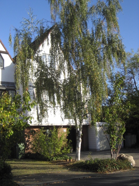 Hausansicht Wohnung Sankt Augustin