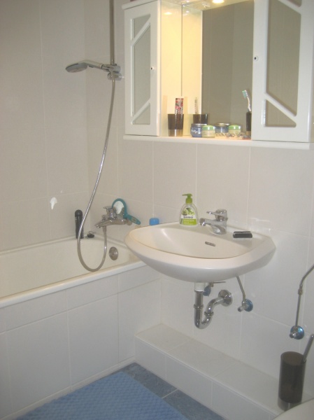 Ansicht 1 Bad Etagenwohnung Sankt Augustin