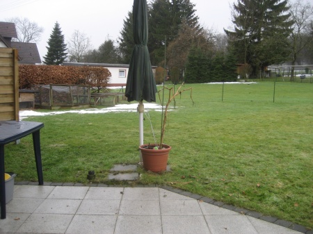 Garten mit Terrasse Doppelhaush�lfte Buchholz (Westerwald) / Jungeroth