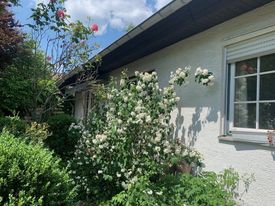 Weitere Ansicht Einfamilienhaus Sankt Augustin