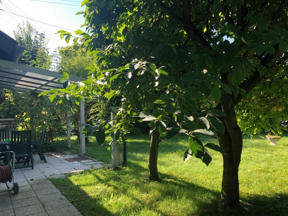 Garten Einfamilienhaus Bonn