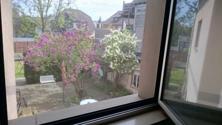 Blick in den Garten / Terrasse Einfamilienhaus Troisdorf / Spich