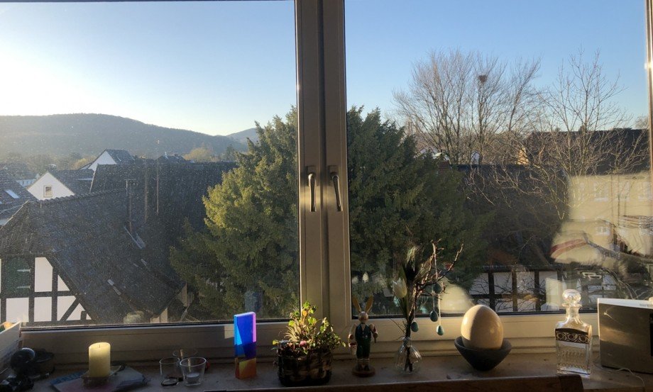 Blick aus dem Fenster Etagenwohnung Bonn