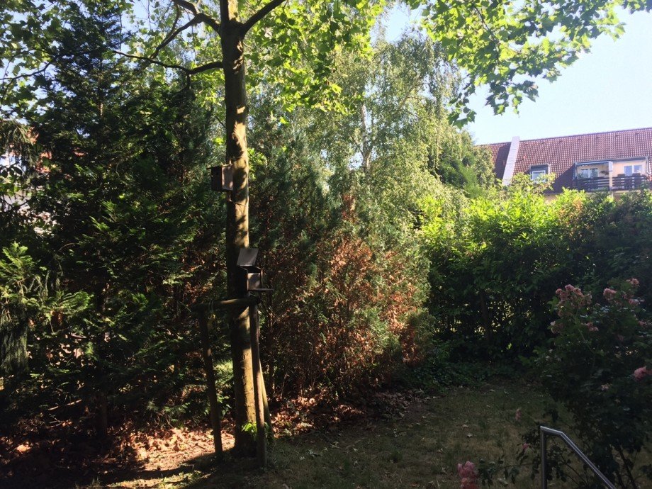 Blick vom Balkon Erdgeschosswohnung Bonn