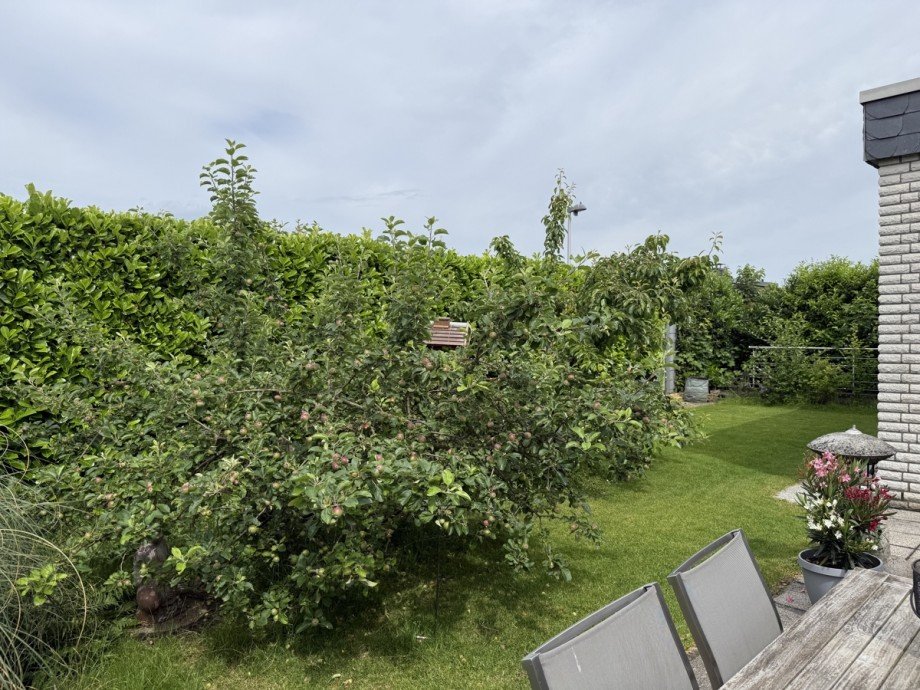 R�ckansicht mit Garten Bungalow Troisdorf / Eschmar