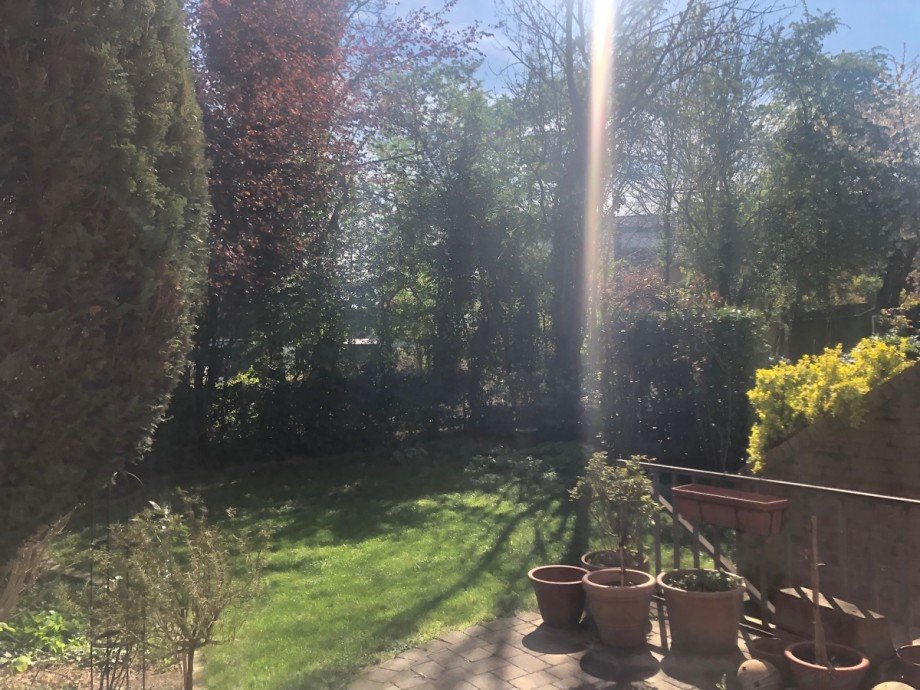 Gartenansicht Reiheneckhaus Sankt Augustin