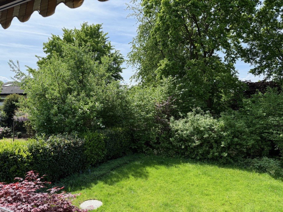 Blick in den Garten Einfamilienhaus Sankt Augustin