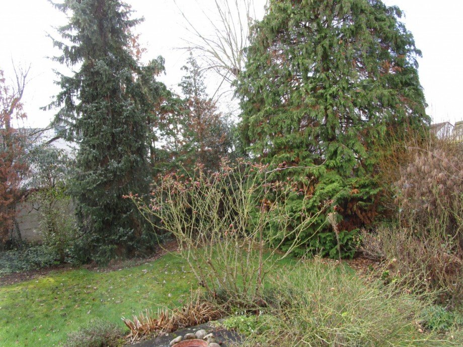 Ansicht Garten Einfamilienhaus Sankt Augustin