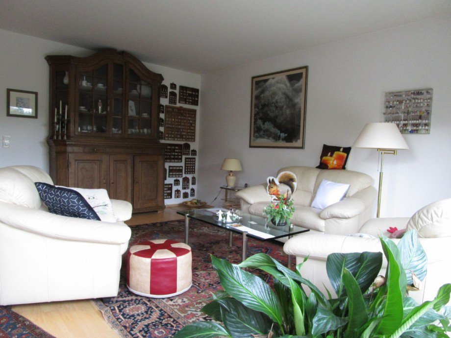 Ansicht Wohn,- Esszimmer Etagenwohnung Sankt Augustin