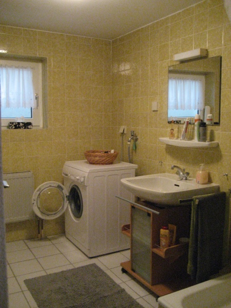 Ansicht Dusche und Waschraum im UG Doppelhaush�lfte Sankt Augustin-Schmerbroich