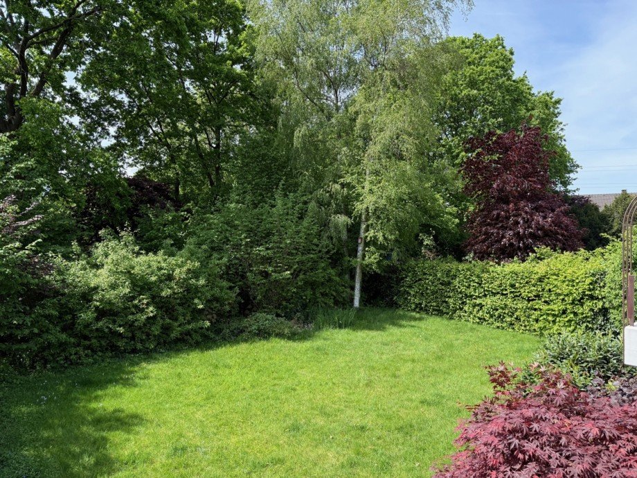Blick in den Garten Einfamilienhaus Sankt Augustin