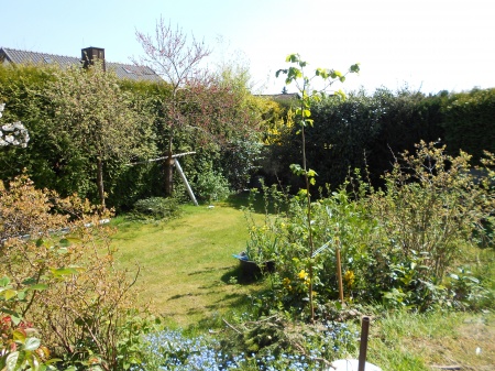 Garten Einfamilienhaus Sankt Augustin