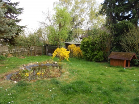 Garten Etagenwohnung Bonn / P�tzchen