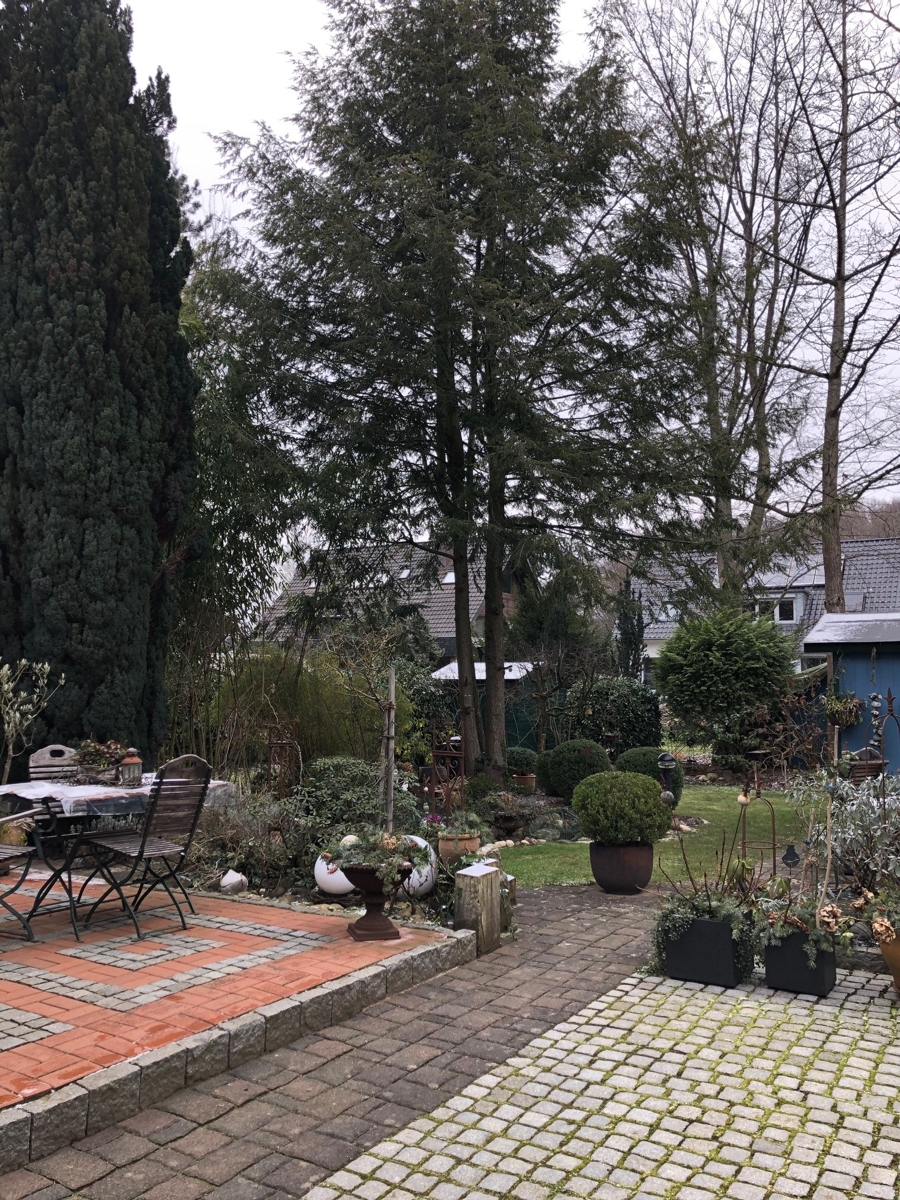 weitere Ansicht Haus / Au�enansicht Reiheneckhaus Bonn