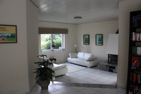 Wohnzimmer mit Kamin Einfamilienhaus Sankt Augustin