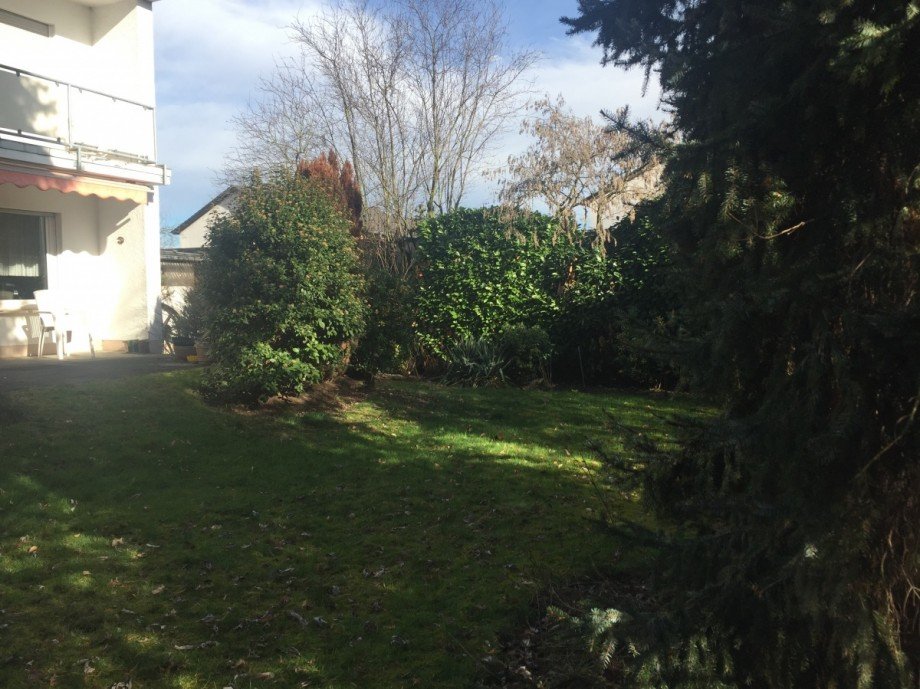 Blick in den Garten Einfamilienhaus Sankt Augustin