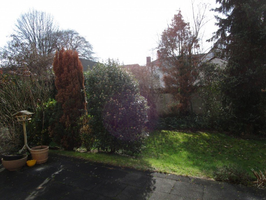 Ansicht Garten Einfamilienhaus Sankt Augustin