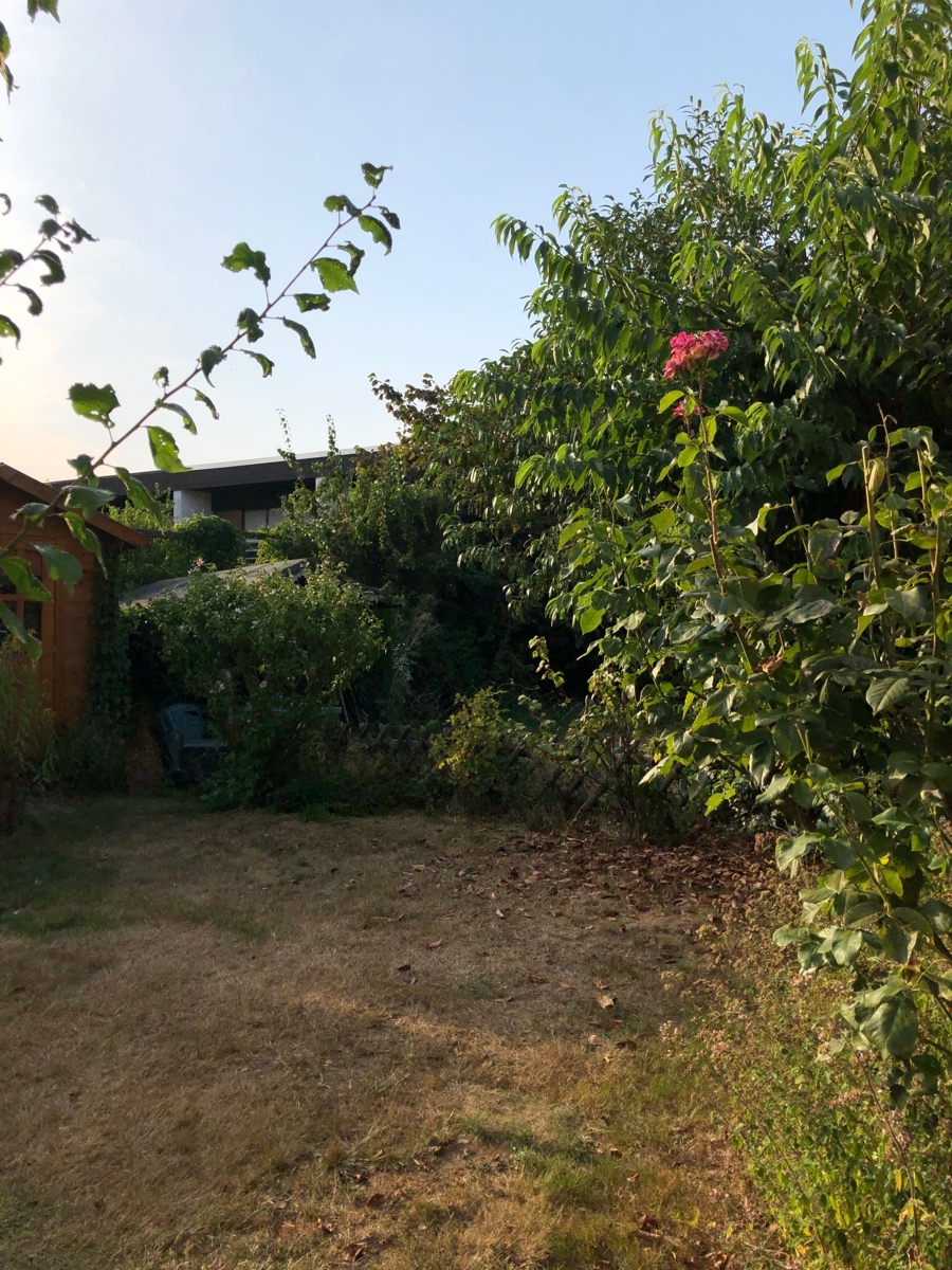 Garten Reihenhaus Sankt Augustin