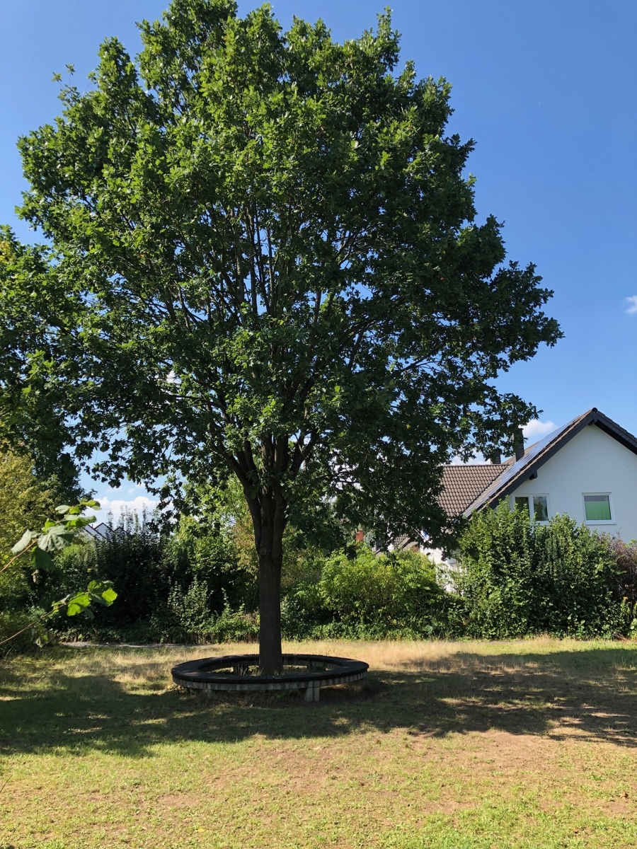Wohnumgebung Reihenhaus Sankt Augustin