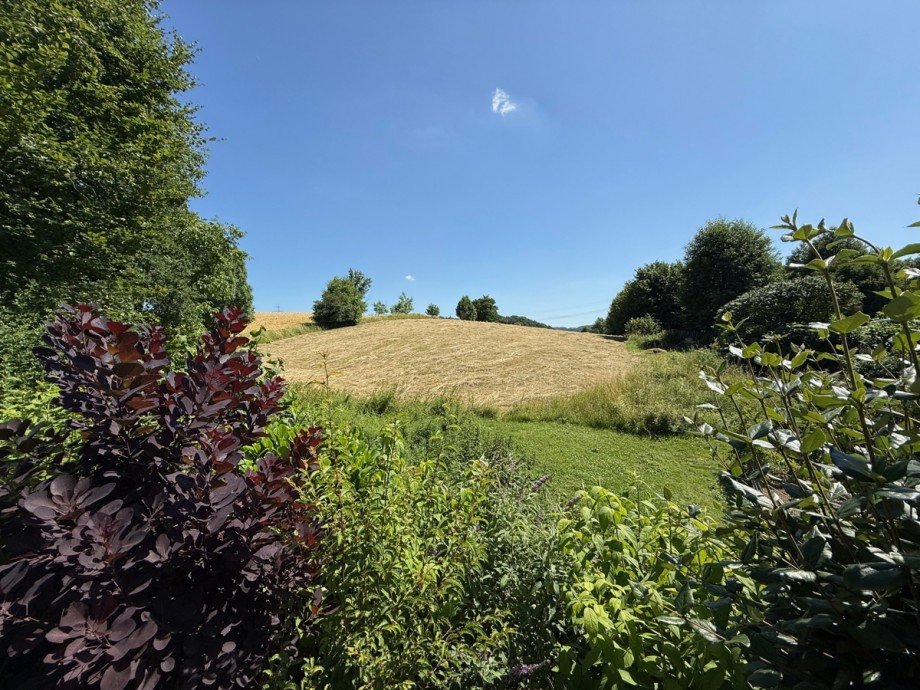 Blick ins Gr�ne Einfamilienhaus Hennef