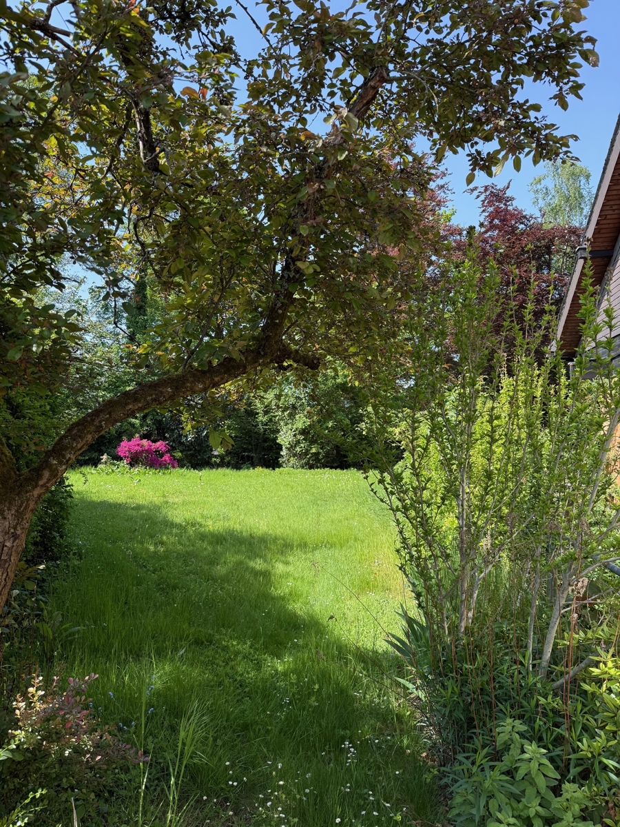 Seitenansicht Zweifamilienhaus Sankt Augustin