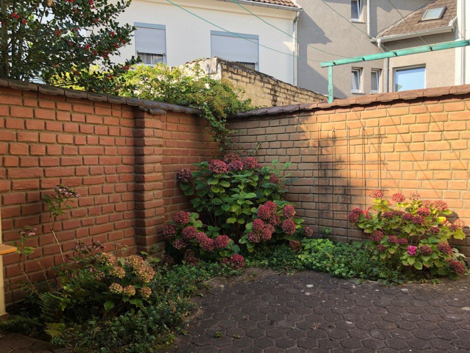 Innenhof / Garten Einfamilienhaus Bonn / Endenich