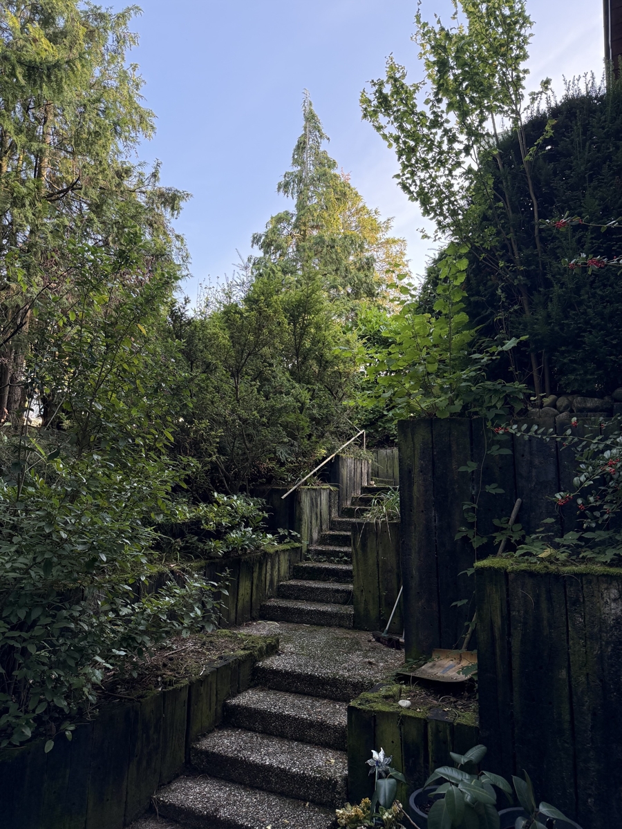 . Souterrainwohnung Sankt Augustin