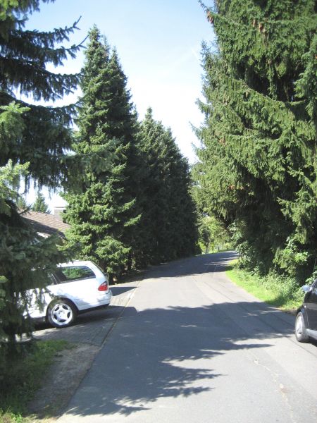 Wohnumfeld Einfamilienhaus Wolperath