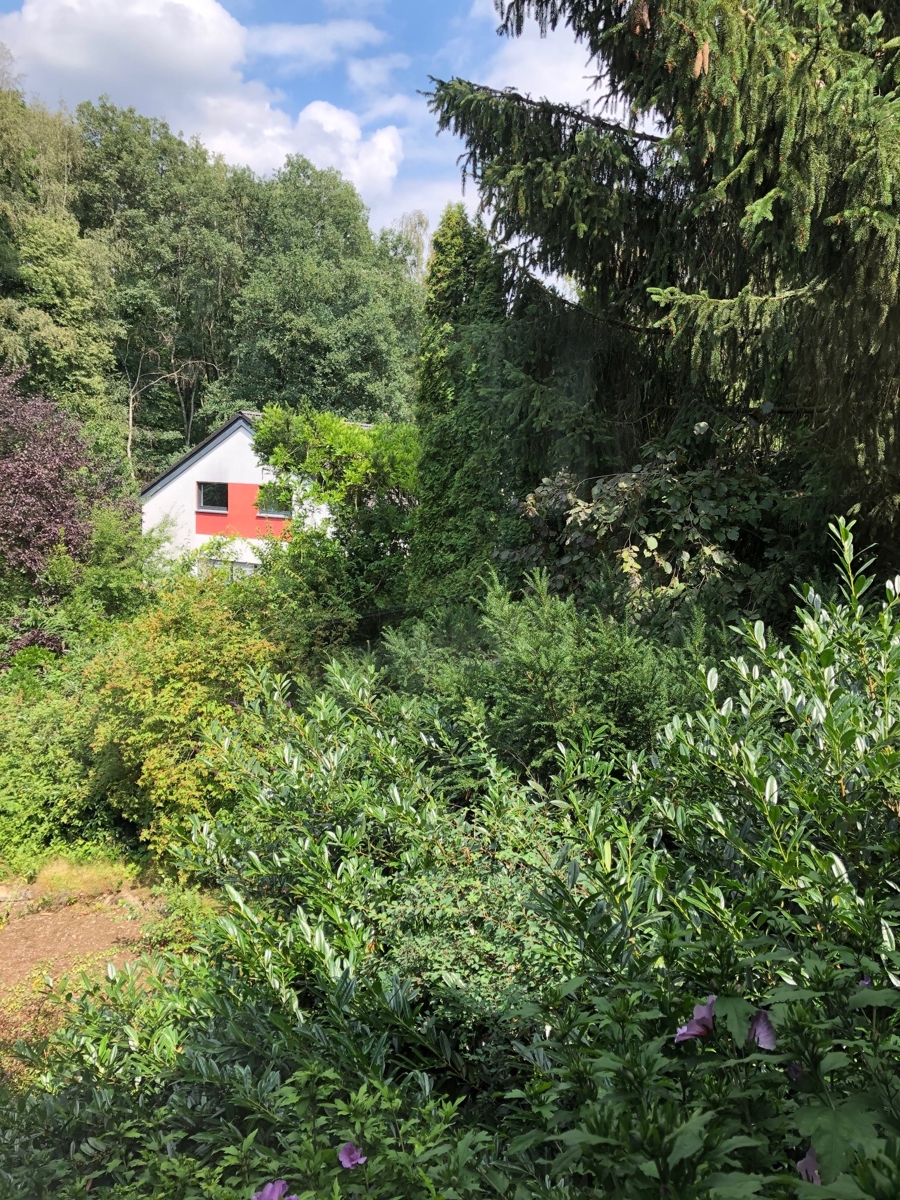 Blick ins Gr�ne Einfamilienhaus Bonn