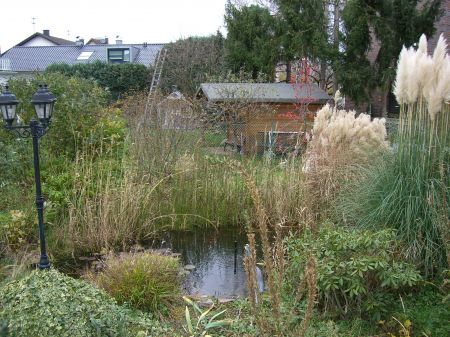Gartenteich Einfamilienhaus Niederkassel