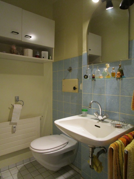 Badezimmer Etagenwohnung Sankt Augustin